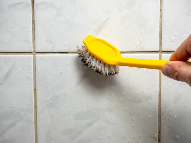 Professional Mold Remediation in Herndon, VA