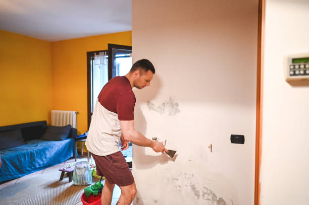 Best Basement Mold Remediation in Herndon, VA